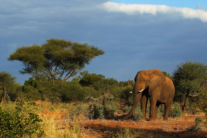 2 Days Tala Game Reserve Natal Park & Drakensberg from Durban - Photo 1 of 12